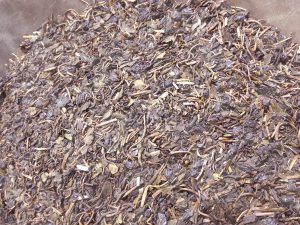 ほうじ茶の茶葉 香ばしい香りが立ち込める