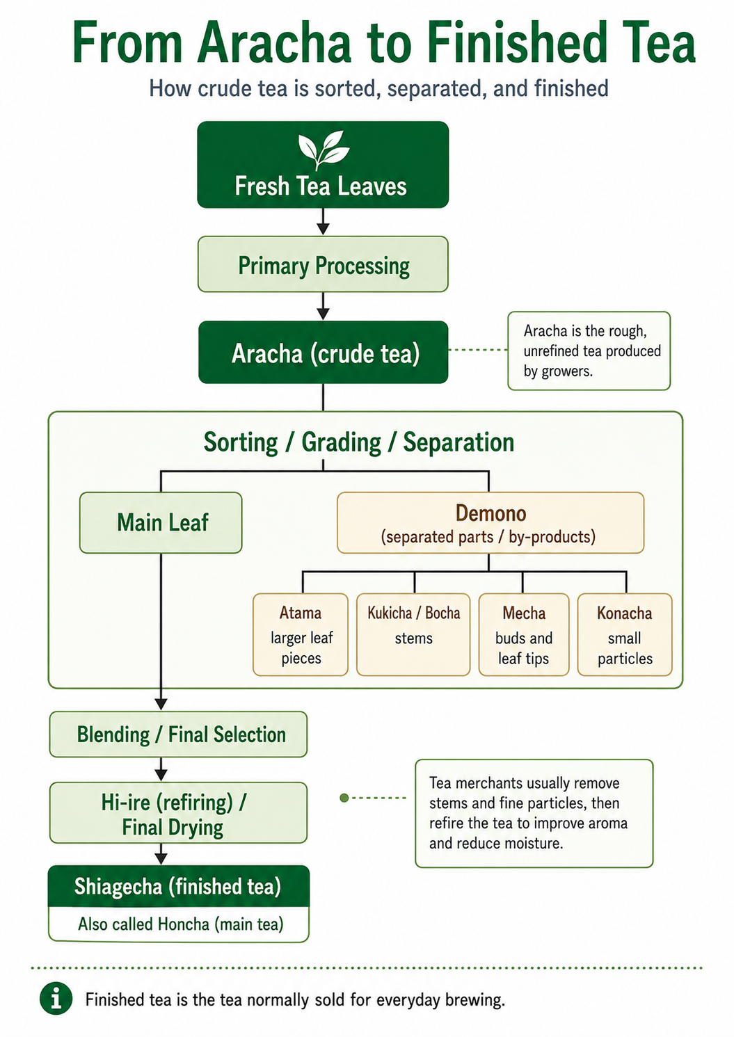 English flowchart showing the process from fresh tea leaves and aracha to sorted derivative teas and finished tea