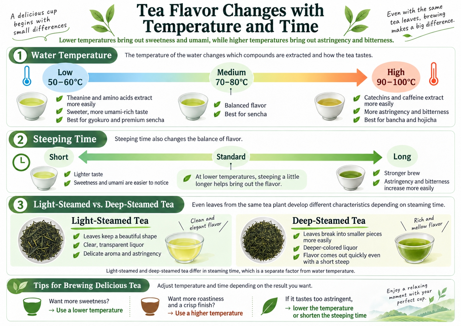Tea flavor chart showing how water temperature and steeping time affect sweetness, umami, astringency and bitterness, with a comparison of light-steamed and deep-steamed Japanese green tea