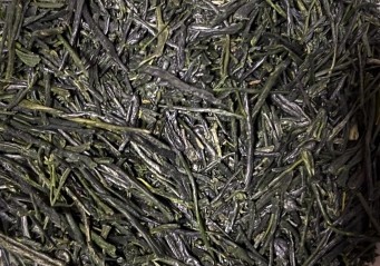 Actual gyokuro leaves showing long needle-like rolled shape, photographed by Sanrokuen