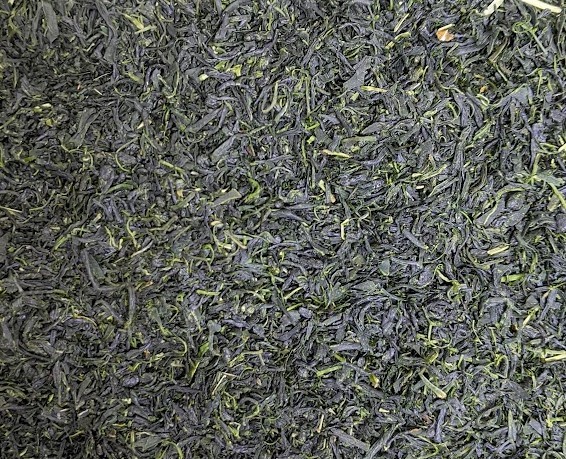 Actual open-field Japanese green tea grown without deliberate pre-harvest shading