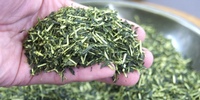 お茶の種類  白折(茎茶)の写真