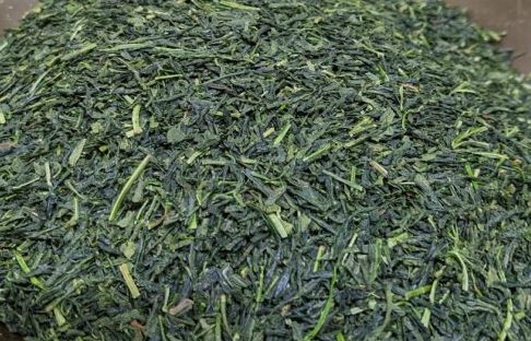 Second-harvest Saeakari green tea from Kumamoto