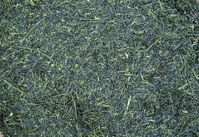 2026 Yutakamidori fukamushi sencha from Ei Town, Chiran Tea, Kagoshima