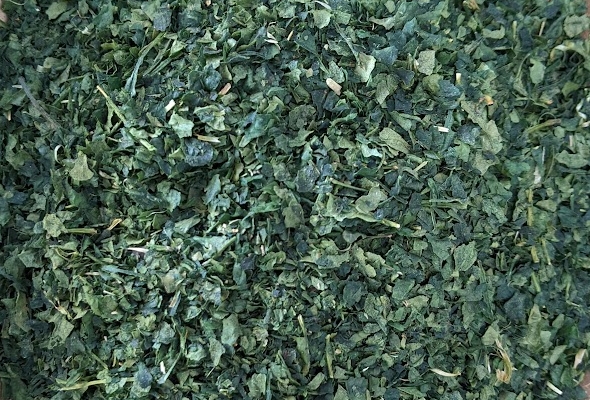2026 Yutakamidori tencha from Ei Town, Chiran Tea, Kagoshima