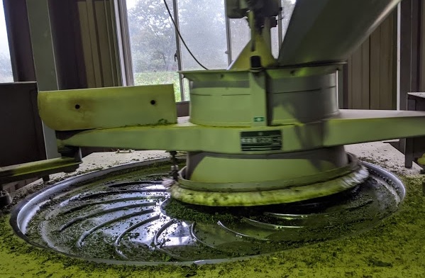 Tea rolling machine