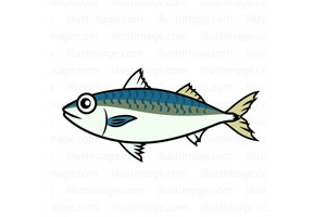 サバやイワシなどの青魚はDHAやEPAが豊富